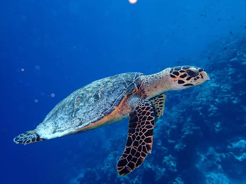 Photo 12-5-21 02 20 58