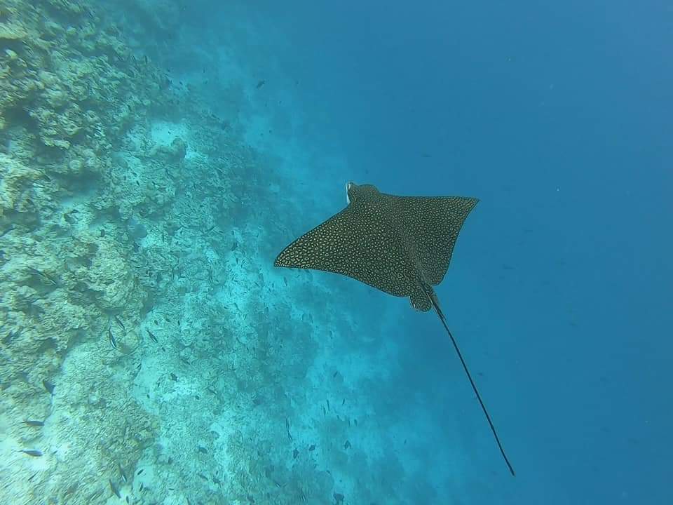 Photo 12-5-21 02 20 59 (1)