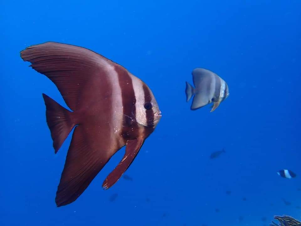 Photo 12-5-21 02 21 01