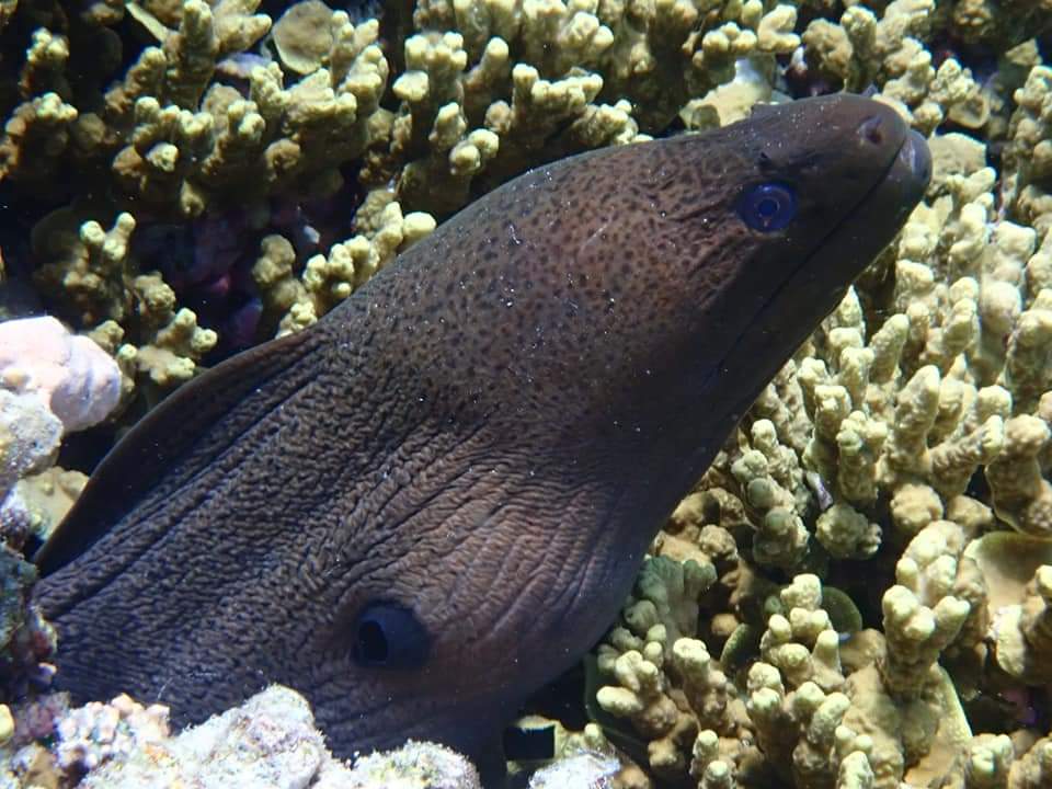 Photo 12-5-21 02 21 02