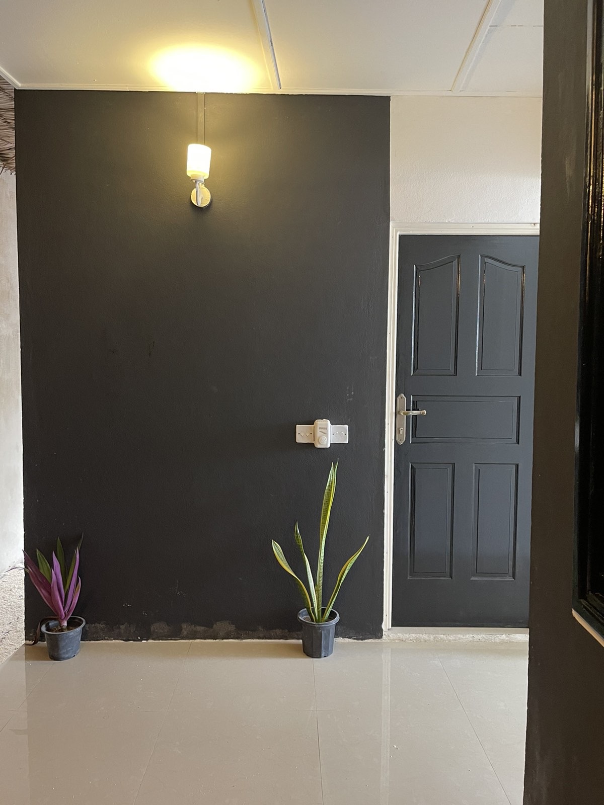 Photo 16-8-21 16 29 25