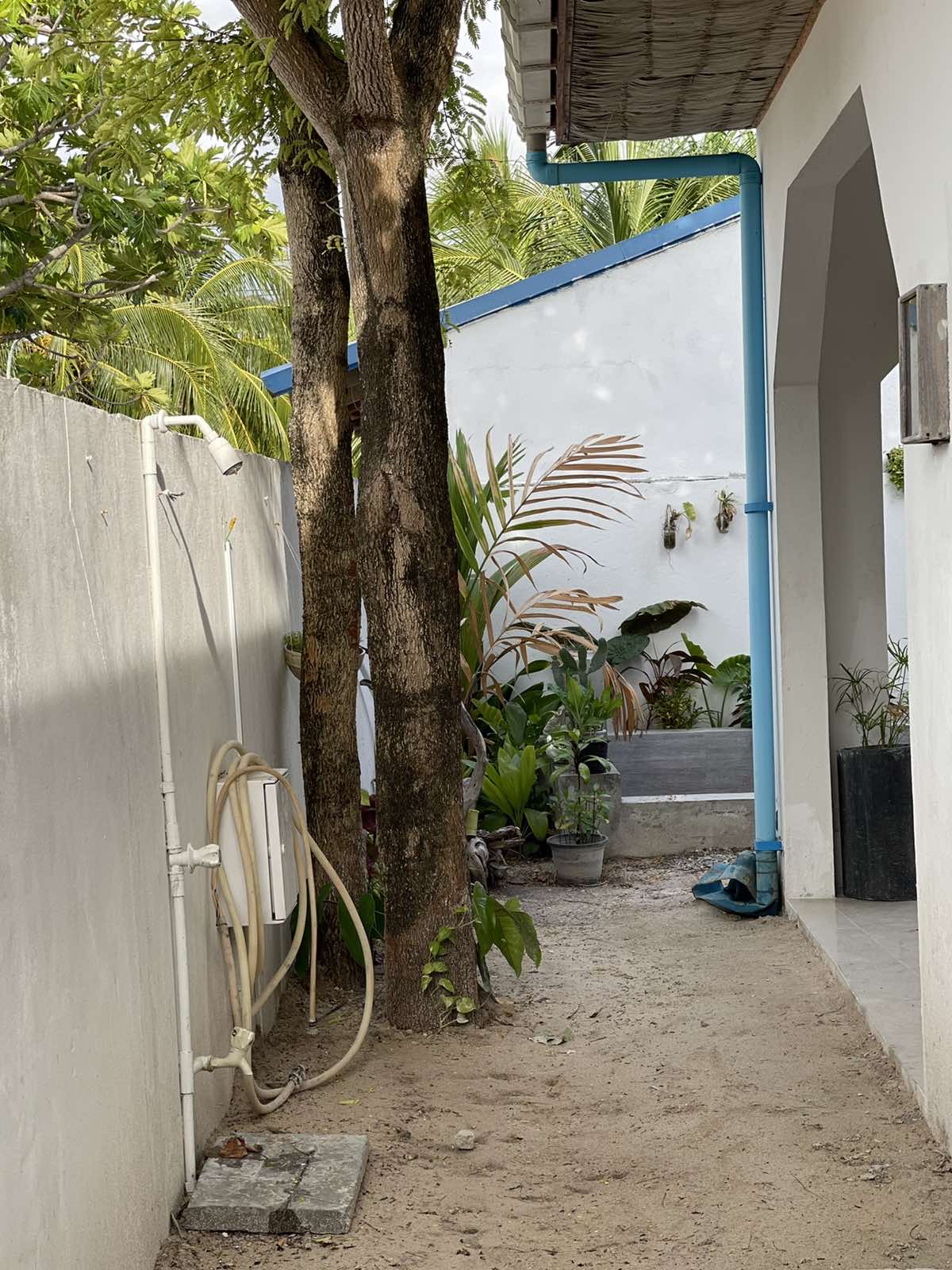 Photo 16-8-21 16 30 02