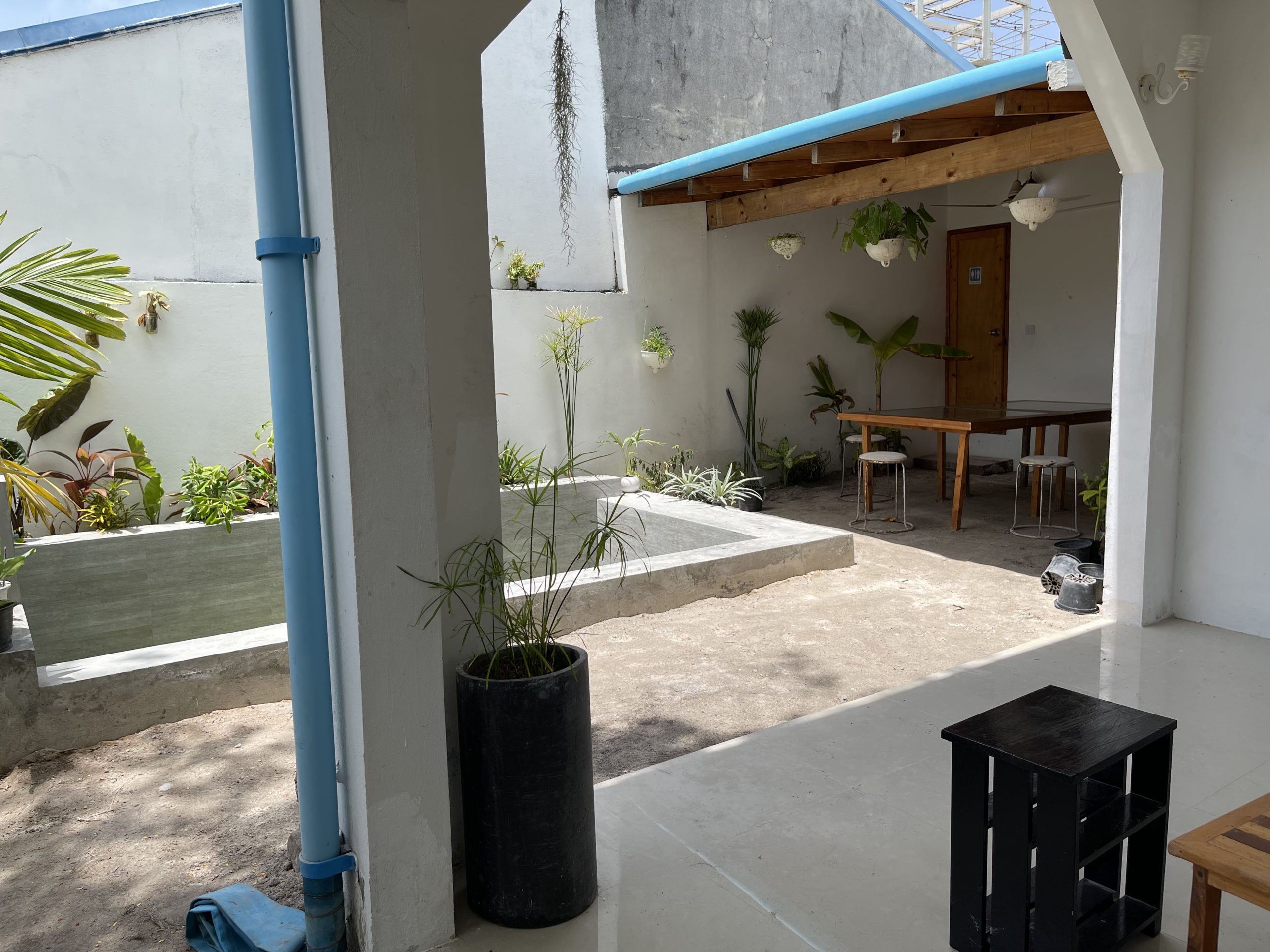 Photo 3-8-21 11 44 35