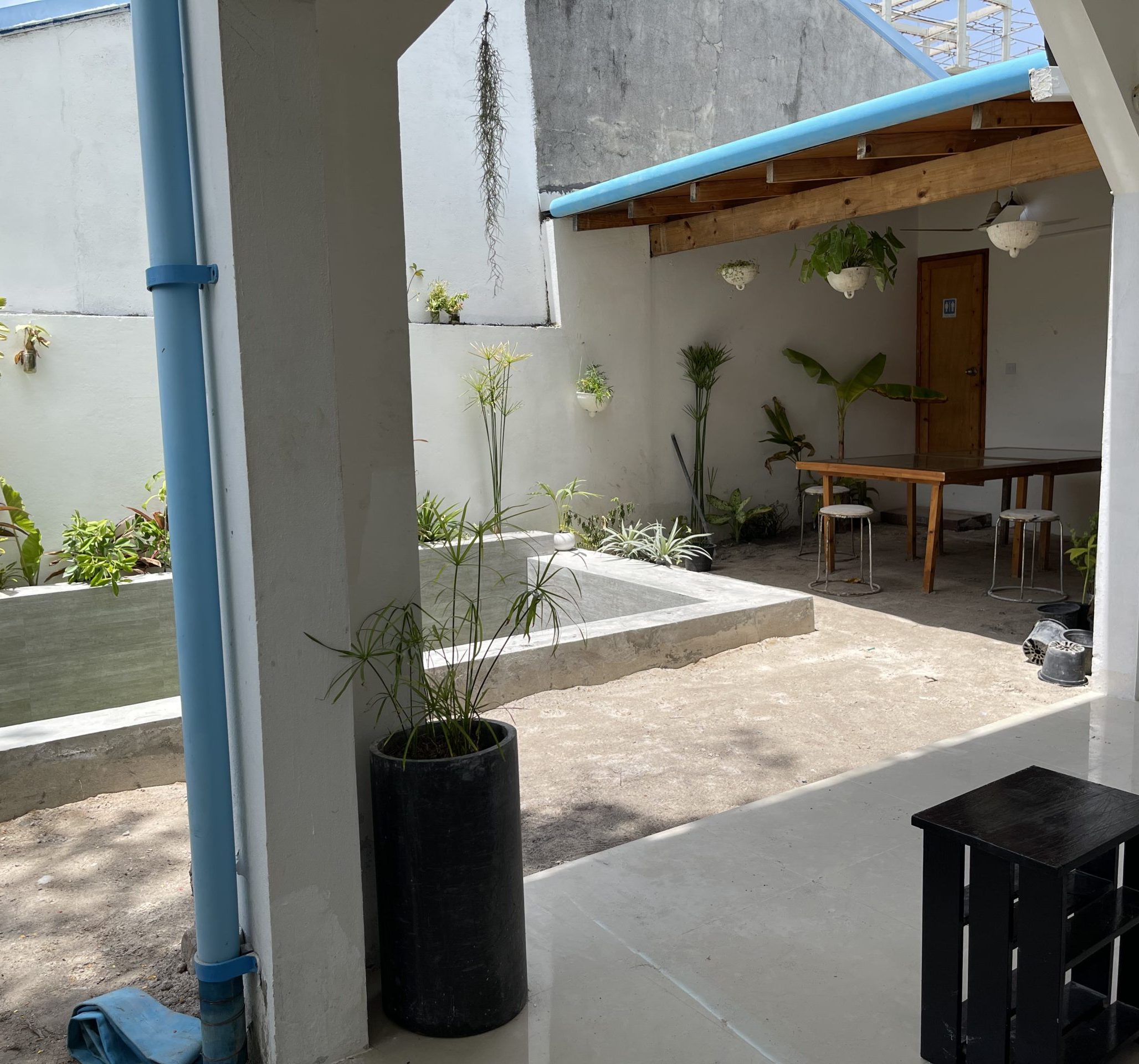 Photo 3-8-21 11 44 35